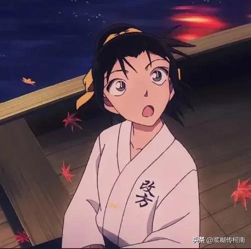 《名侦探柯南》中的20大美女排名不分先后。