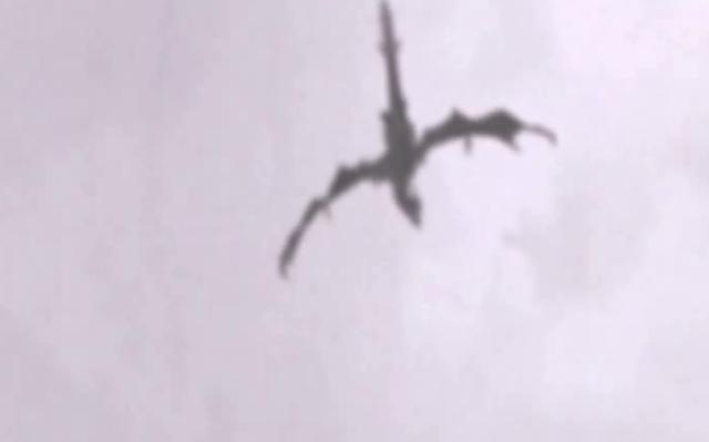 实拍，疑似天使降落房顶，全程被镜头拍下