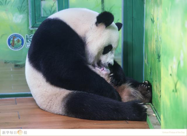 新华每日播报|7月2日