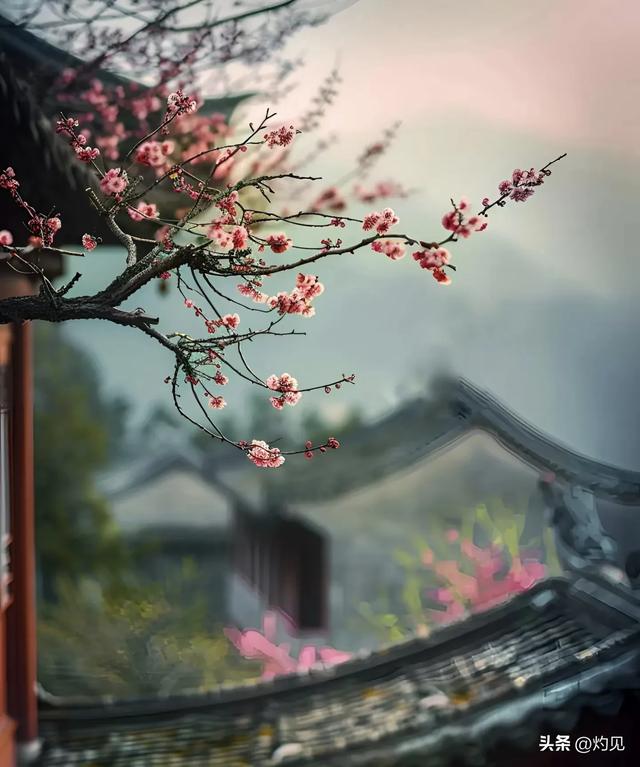 随笔：好心态，好心情，好彩自然来