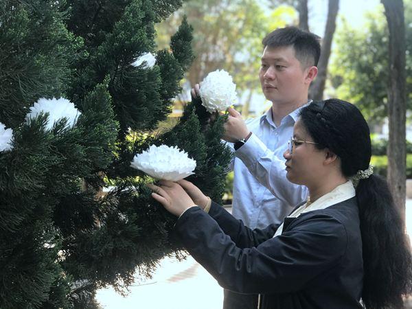镜头|清明祭英烈