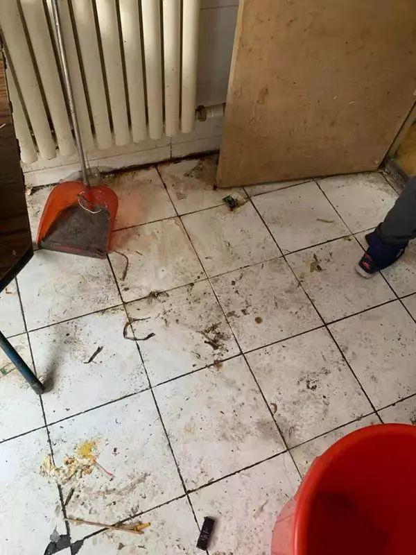 房东要气疯！网友：受惊吓，词穷到无法描述