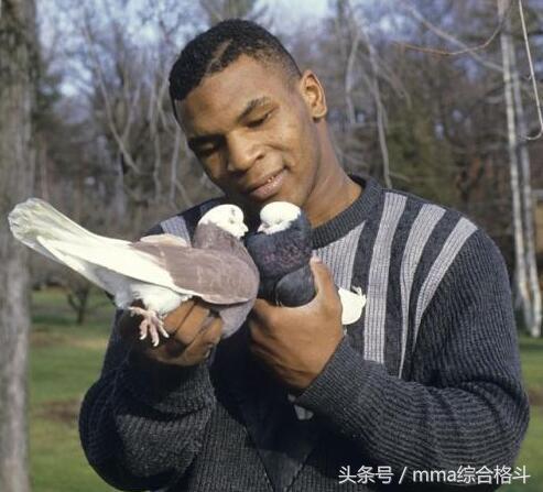 拳王泰森3次婚姻8个孩子，妻子美艳动人，女儿却比泰森还要强壮