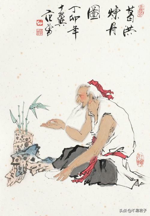 囧妈片尾曲《红莓花儿开》是什么花?它就在你身边只是叫法不一样