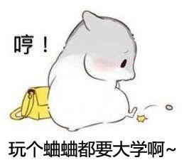 “一嘴可能就2万”,说说这种古今身价不菲的“秋虫”丨斗蛐蛐极简史