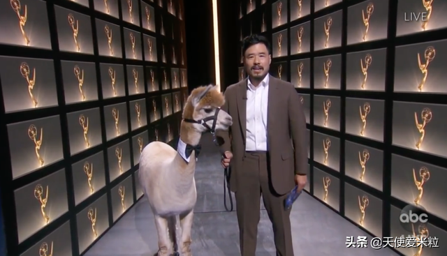 72届艾美奖：24岁赞达亚成最年轻视后，《富家穷路》大满贯