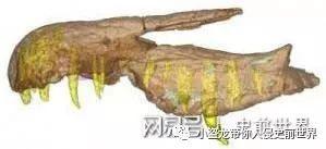 《侏罗纪世界2》里新出现的这种恐龙你认识吗?