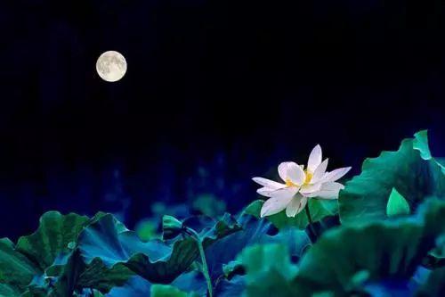 看见月亮想起初恋，一轮清辉寄托几多爱与缠绵