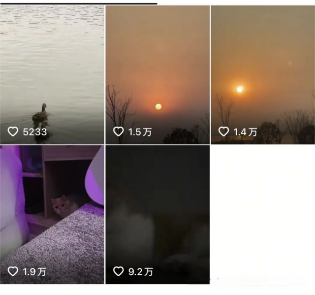 “一条小团团”：从巅峰主播到安静回归，她的选择引发热议