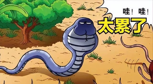 为什么说“蛇吃黄鳝是找死”?如果蛇吃了黄鳝,真的会死吗?