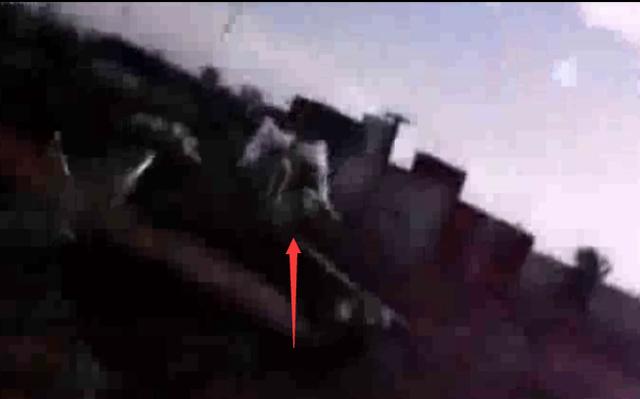 实拍，疑似天使降落房顶，全程被镜头拍下