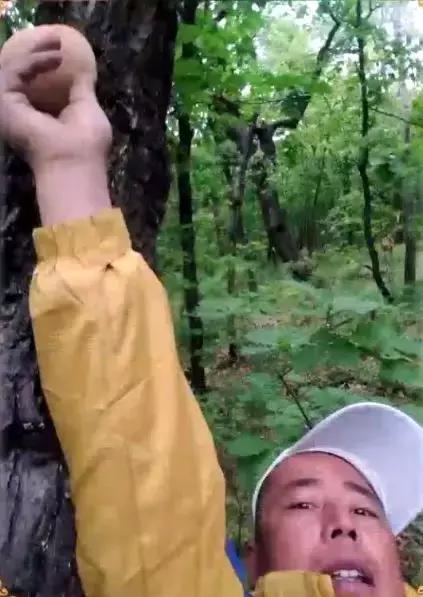 在云端里爱诗，在泥土里生活，在岁月中一直洒脱