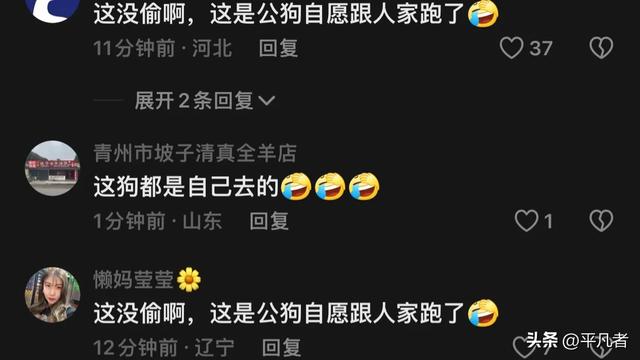 离谱!大爷利用母狗发情期勾引公狗后吃掉,网友:色字头上一把刀