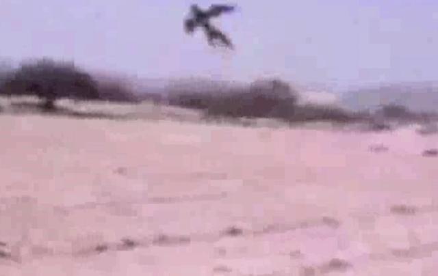 实拍，疑似天使降落房顶，全程被镜头拍下