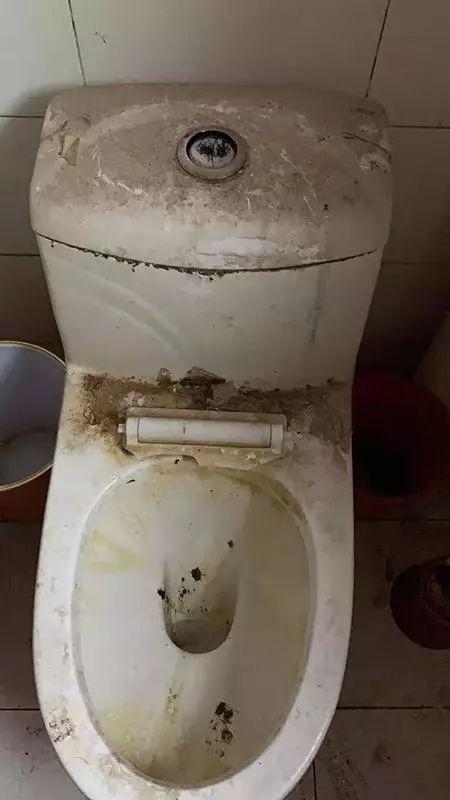 房东要气疯！网友：受惊吓，词穷到无法描述