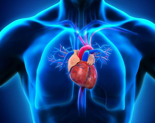 长期用“伟哥”会成瘾吗?停药后是否会变得更糟?了解三点放心用