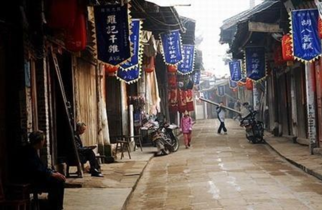 她是身价千万的女强人,无儿无女,晚年资产被保姆转移,落魄无助