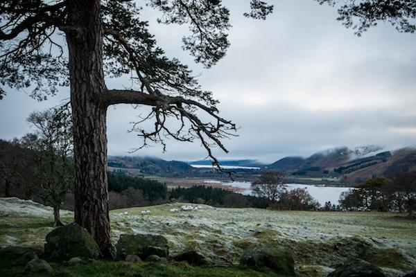 血与火散去之后——苏格兰高地风云