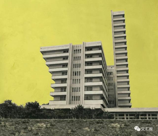 小文福利社｜9月好去处，影像上海艺术博览会来了！