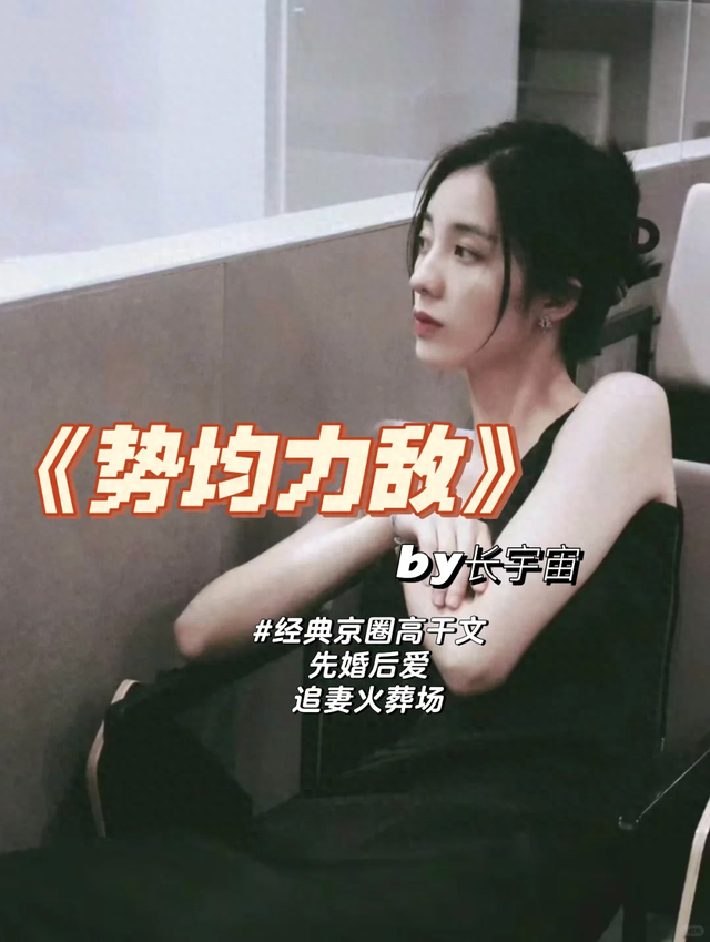 天花板级别的“京圈高干文”,每本都值得收藏,N刷不腻~书荒必看