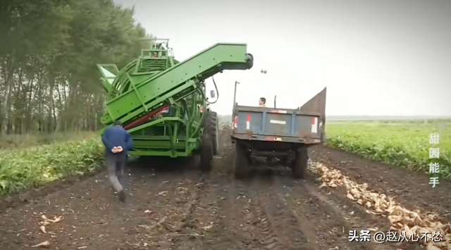 高手在民间！黑龙江大爷发明甜菜收获机，一台机器可代替20人干活