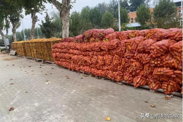 “发家不发家，要看三个八”，老人是怎样看的？有道理吗