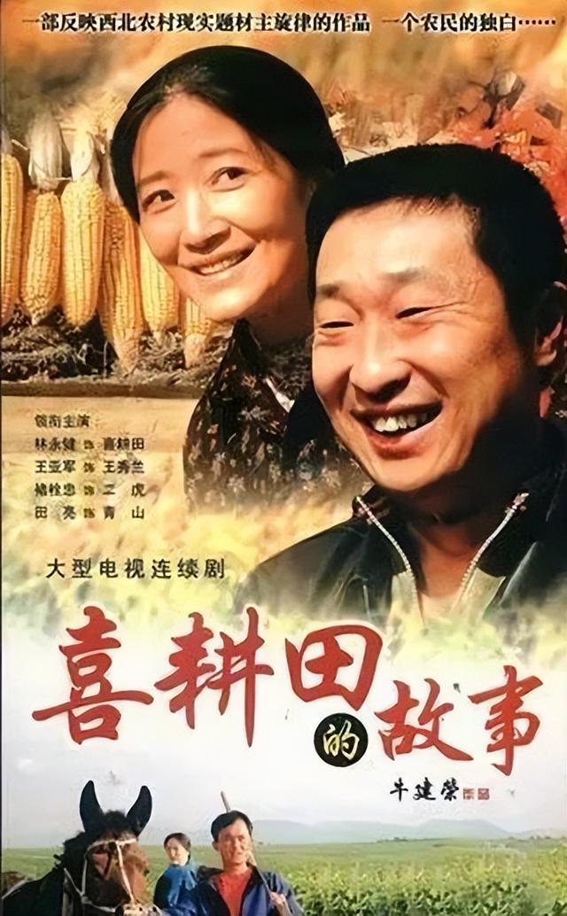 口碑好而且贴近农村的电视剧，排行不分先后