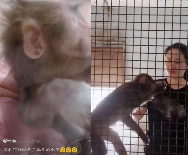 叶璇已生子结婚?还发视频暗示被小宝抓伤,曾被批恋爱脑现婚姻幸福