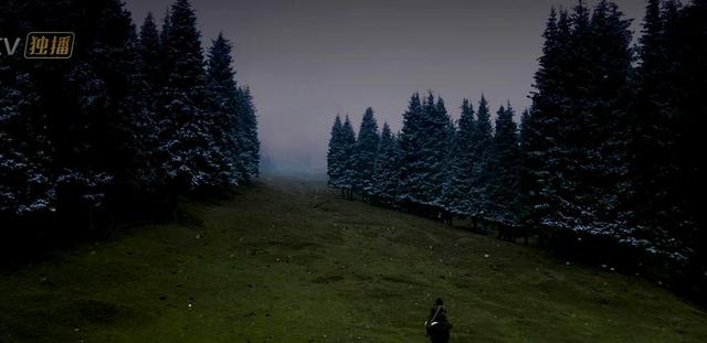 破8亿播放量!秦昊这8集警匪神剧,再来100集都不嫌多