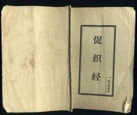 “一嘴可能就2万”,说说这种古今身价不菲的“秋虫”丨斗蛐蛐极简史