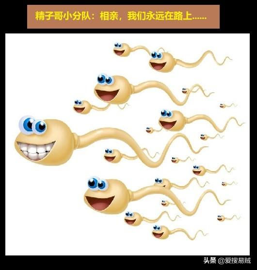 天体、地体、人体,三体演化之谜