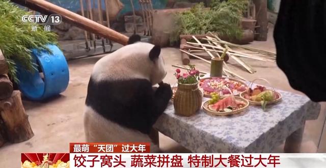 最萌“天团”欢喜过大年 请查收这份福气满满的新年祝福