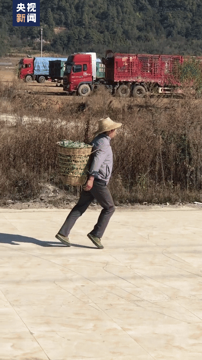 大叔自学霹雳舞5年，舞技惊艳众多网友