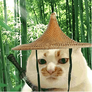 “一条小团团”：从巅峰主播到安静回归，她的选择引发热议