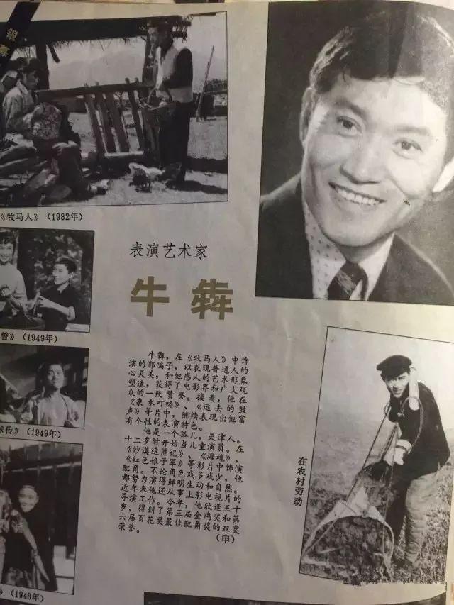 一部充满温情和美好的电影——《牧马人》