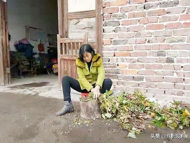 5月“湖南好人榜”发布，株洲3人上榜，来看看他们的故事