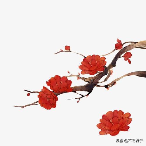 囧妈片尾曲《红莓花儿开》是什么花?它就在你身边只是叫法不一样