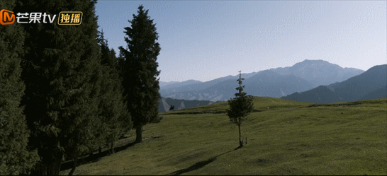 破8亿播放量!秦昊这8集警匪神剧,再来100集都不嫌多