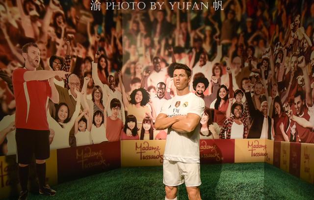 在重庆可以一次与几十位中外明星面对面？没想到竟然是真的