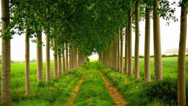 深情不及久伴,厚爱无需多言