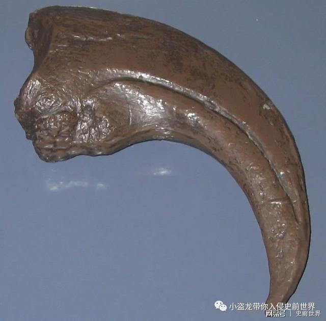 《侏罗纪世界2》里新出现的这种恐龙你认识吗?