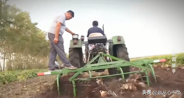 高手在民间！黑龙江大爷发明甜菜收获机，一台机器可代替20人干活