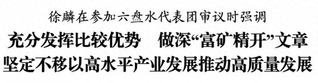 徐麟参加六盘水代表团审议