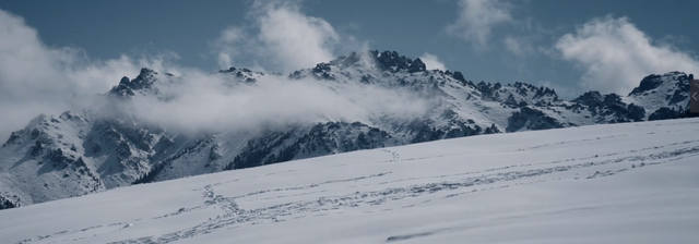 破8亿播放量!秦昊这8集警匪神剧,再来100集都不嫌多