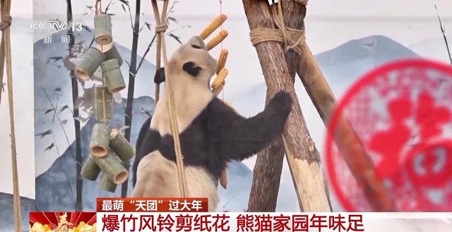 最萌“天团”欢喜过大年 请查收这份福气满满的新年祝福