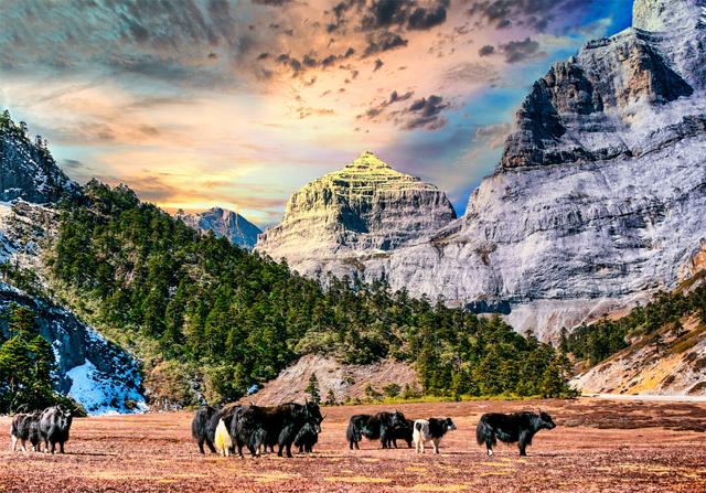 穿越巴拉格宗，寻找“消失的地平线”——有一种叫云南的生活之365天