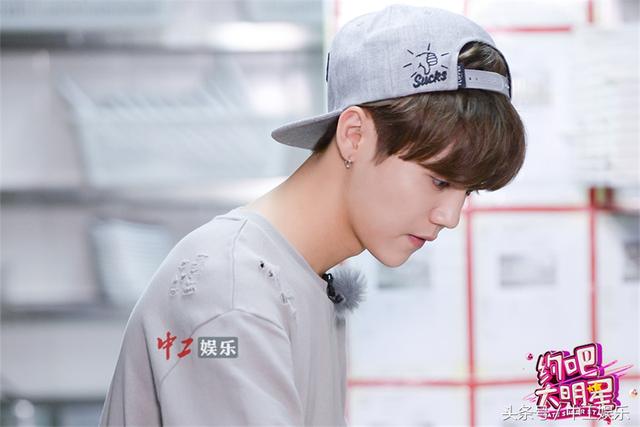 《约吧大明星》圆满收官 李晨、鹿晗在帮愿中成长 呼吁广大网友：“领养代替购买”