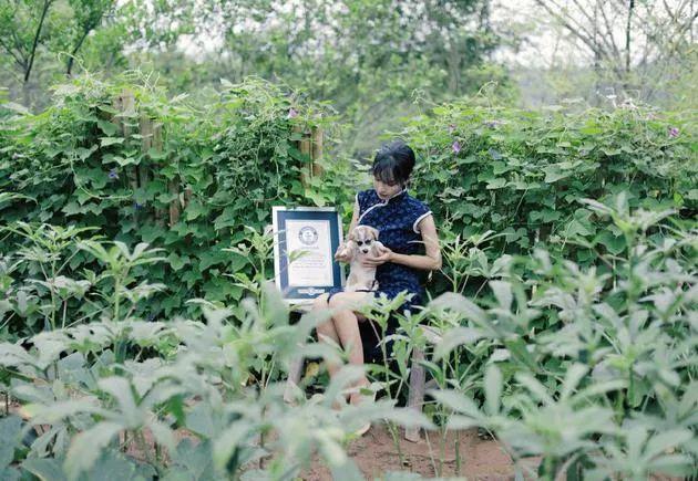 23岁年入5000万,曾力压李子柒的办公室小野,如今怎样了?