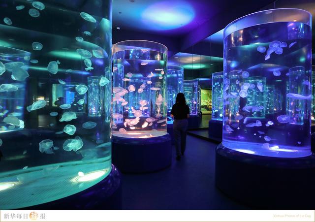 新华每日播报|7月2日