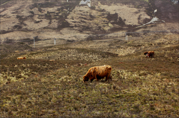 血与火散去之后——苏格兰高地风云